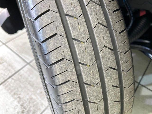 タフト（新潟県新潟市東区）