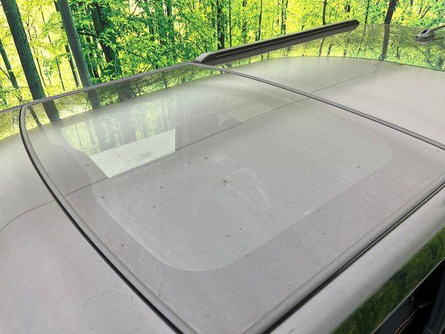 タフト（新潟県新潟市東区）