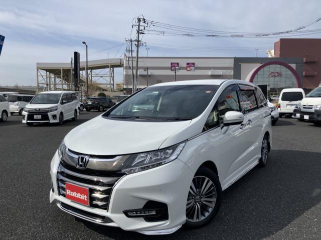 オデッセイ（新潟県新潟市西区）