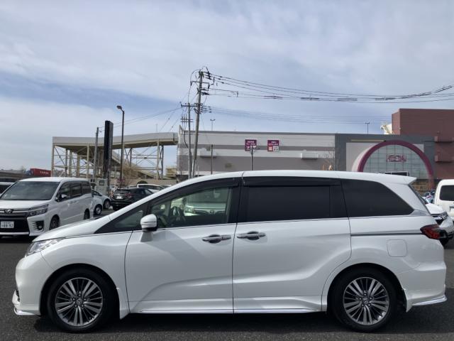 オデッセイ(新潟県新潟市西区)