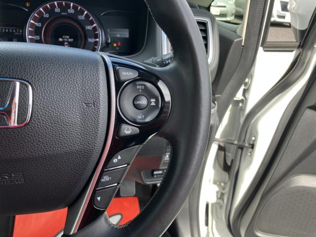 オデッセイ(新潟県新潟市西区)