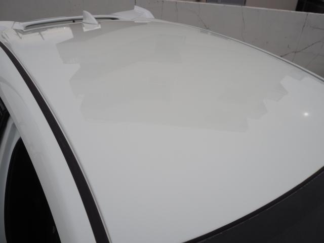 シビック(新潟県新潟市西区)