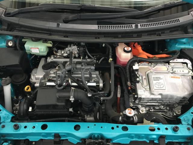 アクア(新潟県新潟市西区)