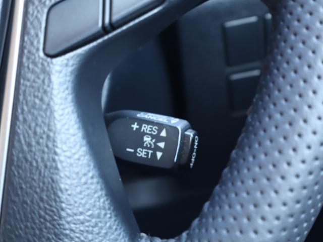 ヴェルファイア(新潟県新潟市中央区)