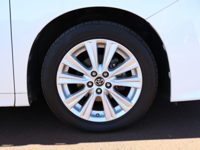 ヴェルファイア(新潟県新潟市中央区)