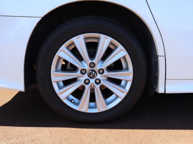 ヴェルファイア(新潟県新潟市中央区)