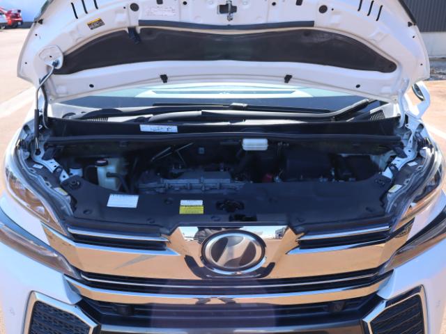 ヴェルファイア(新潟県新潟市中央区)