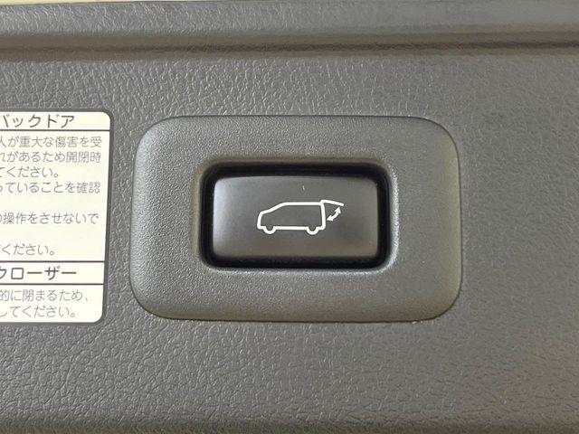 ヴェルファイア（新潟県新潟市南区）