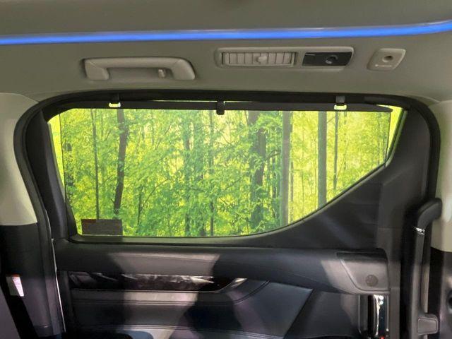 ヴェルファイア（新潟県新潟市南区）