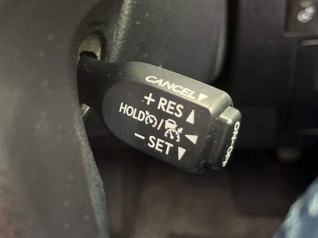 ヴェルファイア（新潟県新潟市南区）