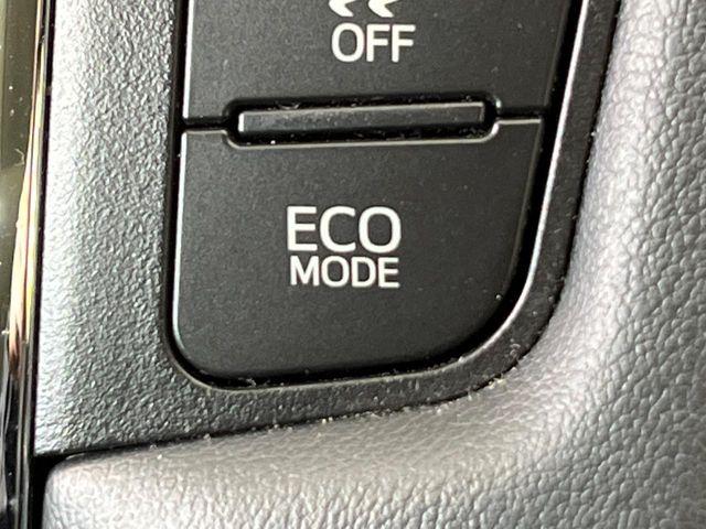 ヴェルファイア（新潟県新潟市南区）