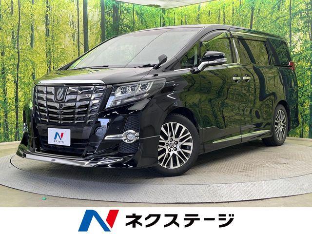 アルファード（新潟県新潟市南区）