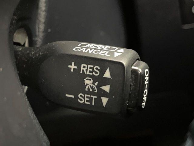 アルファード(新潟県新潟市南区)