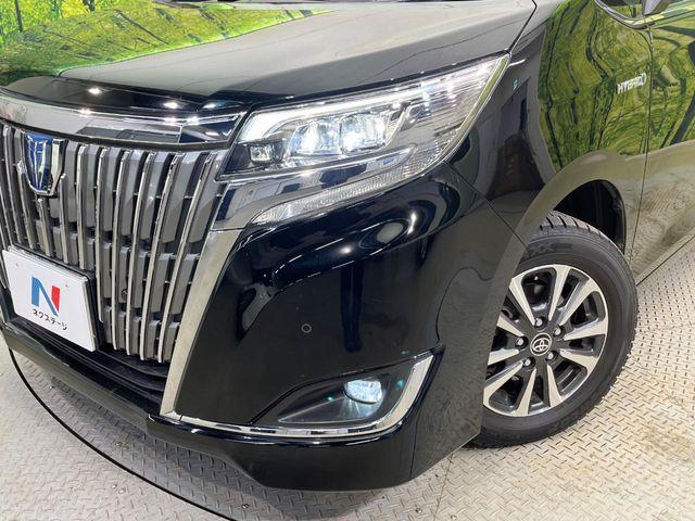 エスクァイア（新潟県新潟市南区）