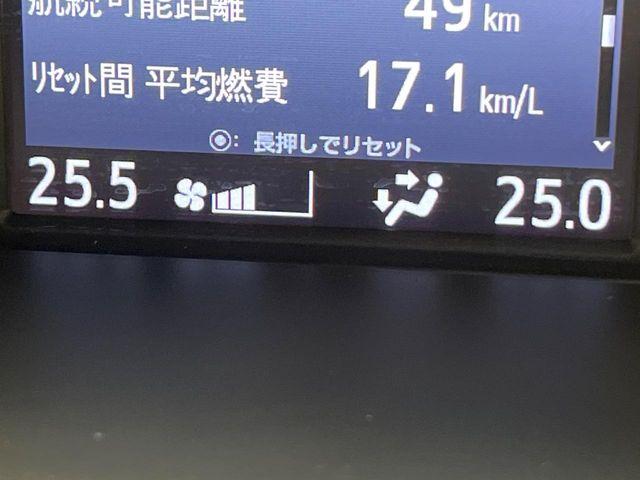 エスクァイア（新潟県新潟市南区）