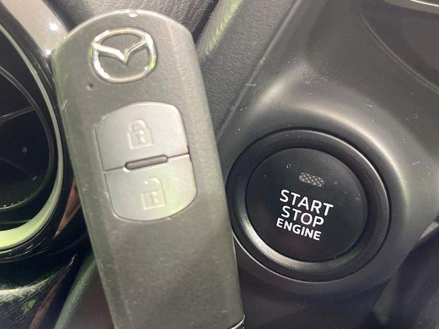 デミオ（新潟県長岡市）