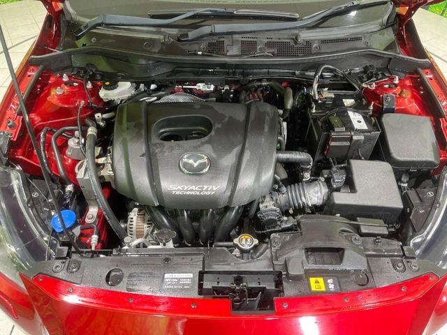 デミオ（新潟県長岡市）