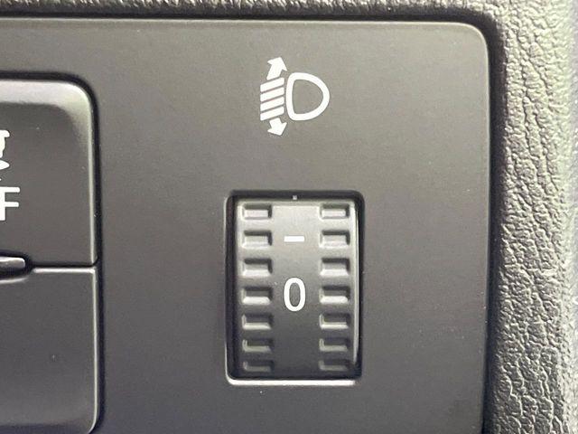 デミオ（新潟県長岡市）