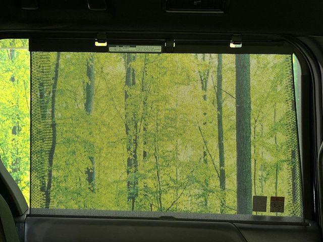 ヴォクシー（新潟県新潟市東区）