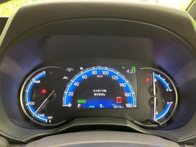 ヴォクシー（新潟県新潟市東区）