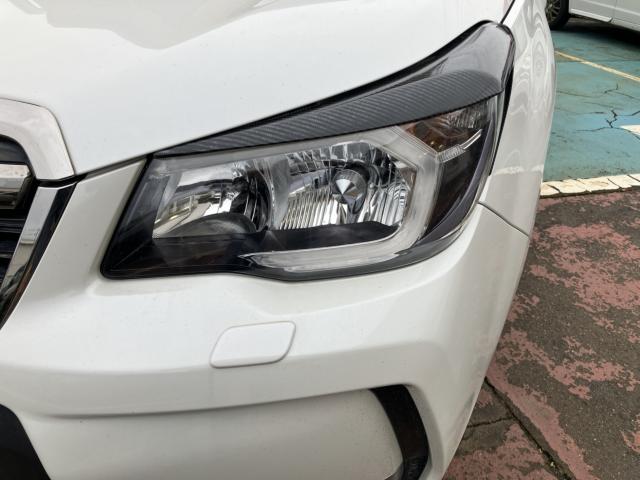 フォレスター(新潟県長岡市)