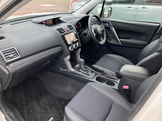 フォレスター(新潟県長岡市)