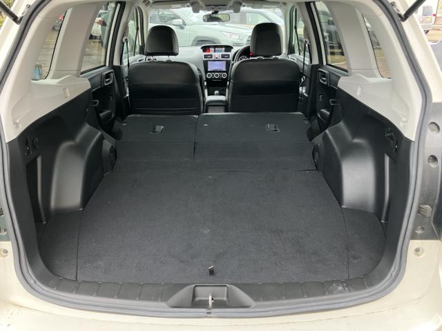 フォレスター(新潟県長岡市)