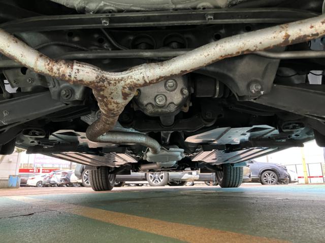 フォレスター(新潟県長岡市)