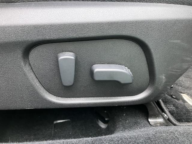 フォレスター(新潟県長岡市)