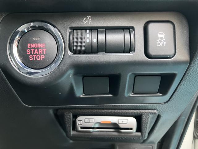 フォレスター(新潟県長岡市)