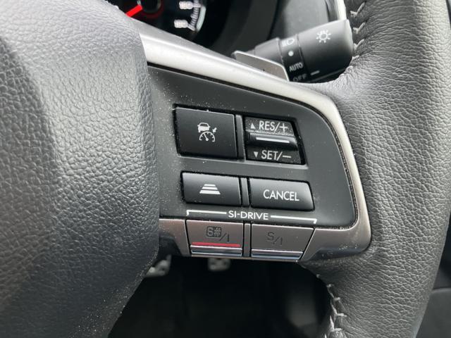 フォレスター(新潟県長岡市)