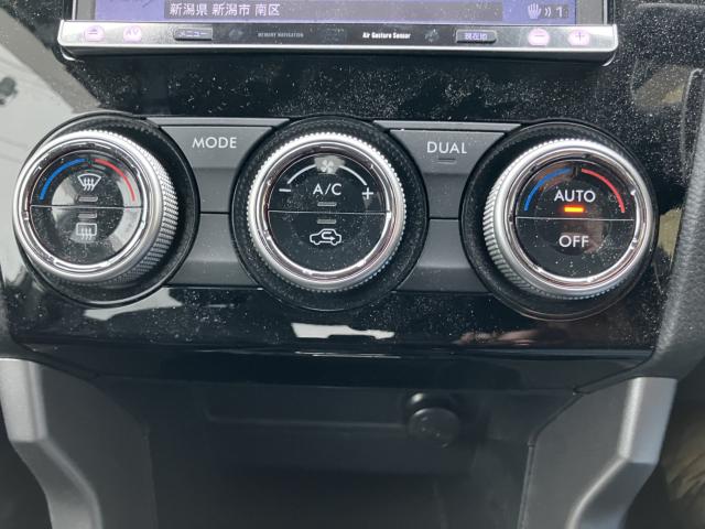 フォレスター(新潟県長岡市)