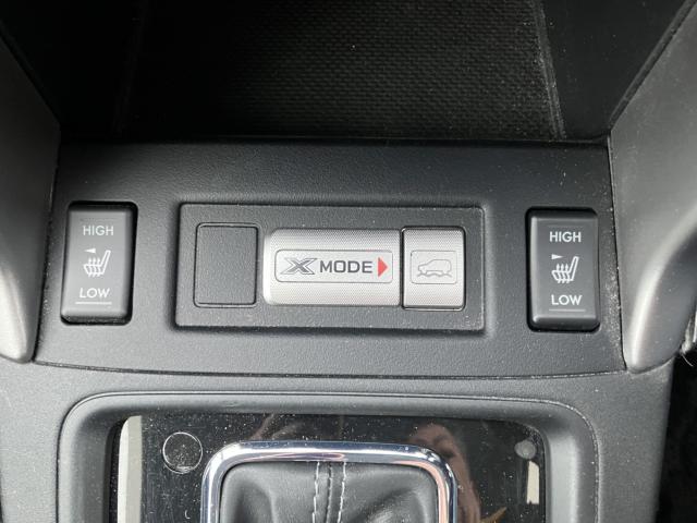 フォレスター(新潟県長岡市)