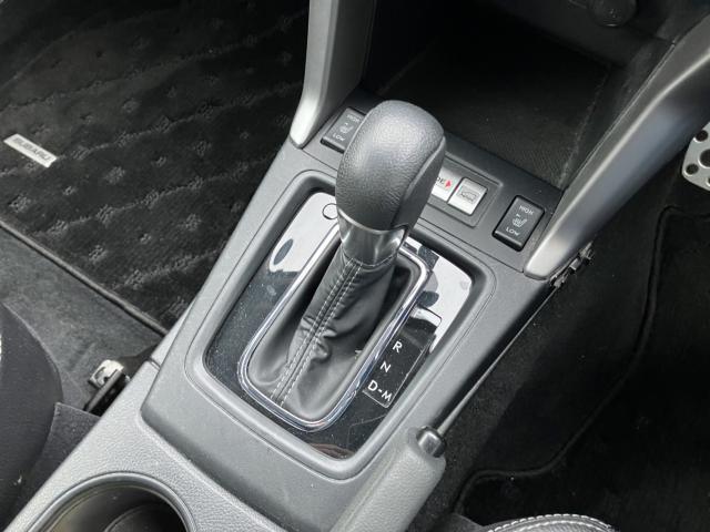 フォレスター(新潟県長岡市)