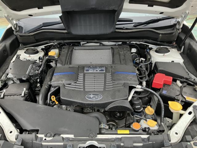 フォレスター(新潟県長岡市)