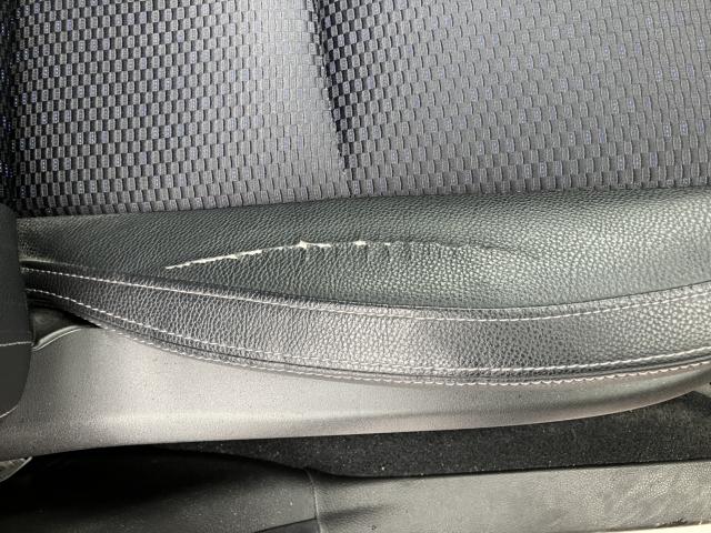 フォレスター(新潟県長岡市)