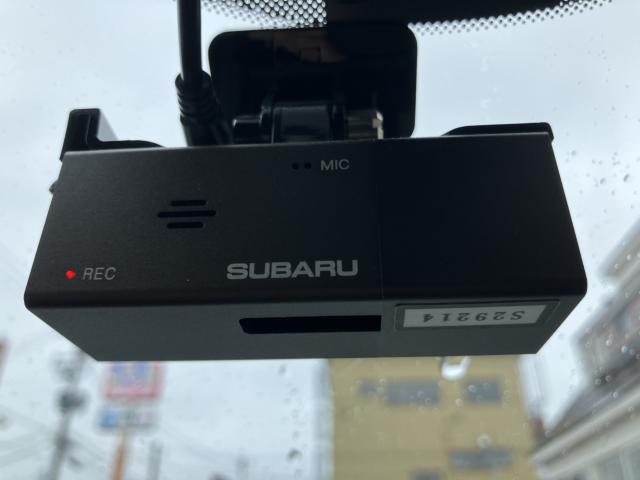 フォレスター(新潟県長岡市)