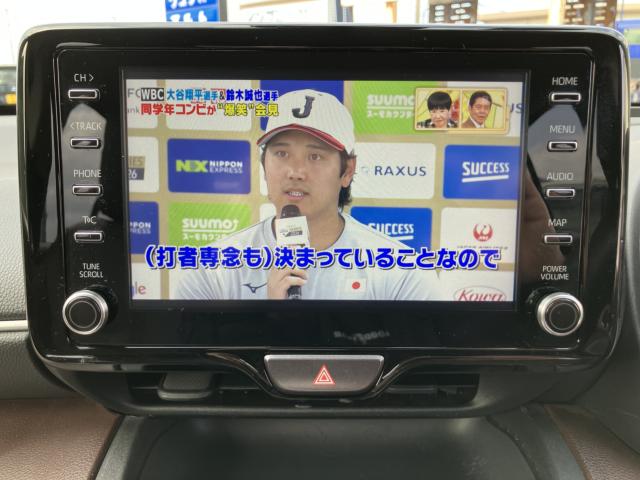 ヤリスクロス(新潟県新潟市南区)