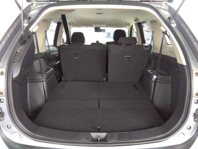 アウトランダー（新潟県十日町市）画像29