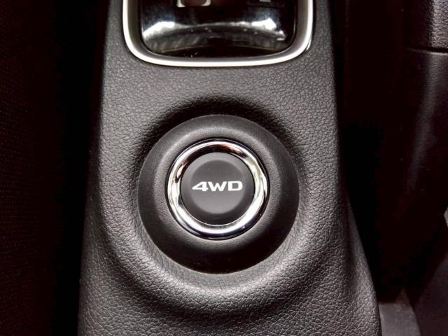 アウトランダー（新潟県十日町市）画像36