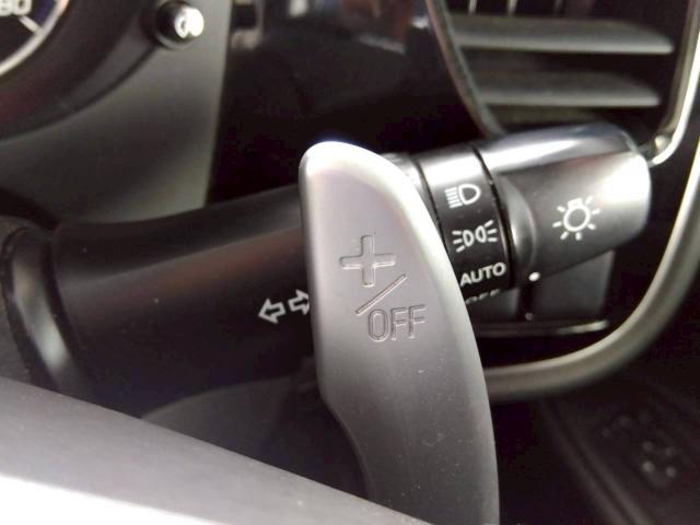 アウトランダー（新潟県十日町市）画像44