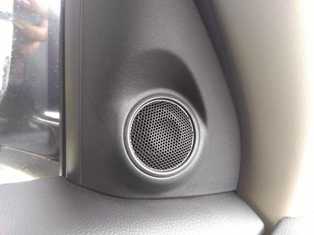 アウトランダー（新潟県十日町市）画像58