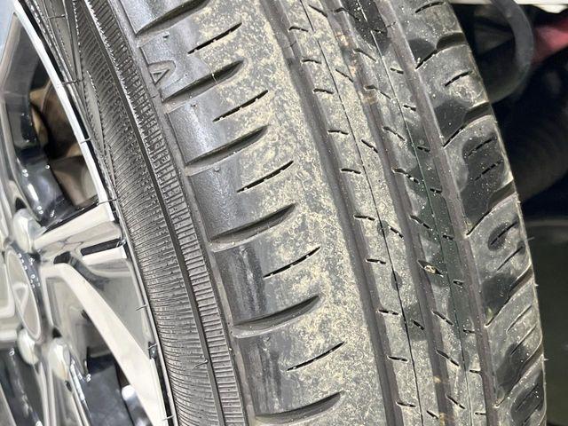 タント(新潟県長岡市)