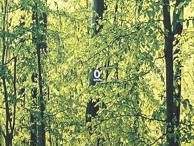 MAZDA3ファストバック(新潟県新潟市南区)