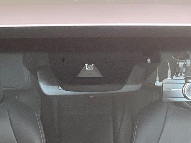 クラウンハイブリッド(新潟県新潟市南区)