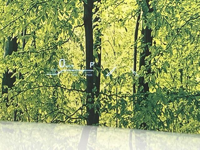 クラウンハイブリッド(新潟県新潟市南区)