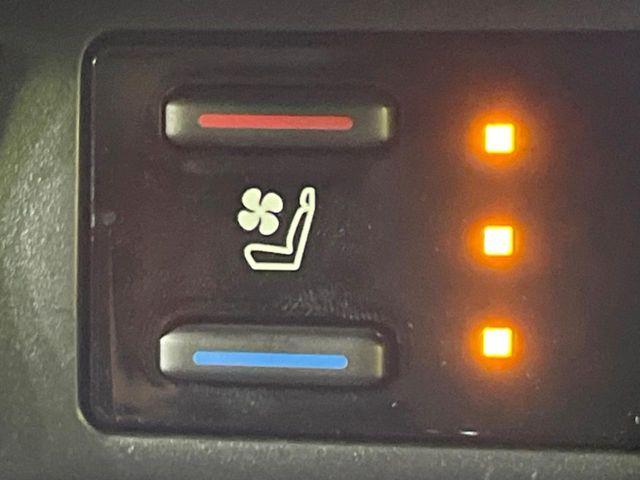 RAV4(新潟県長岡市)