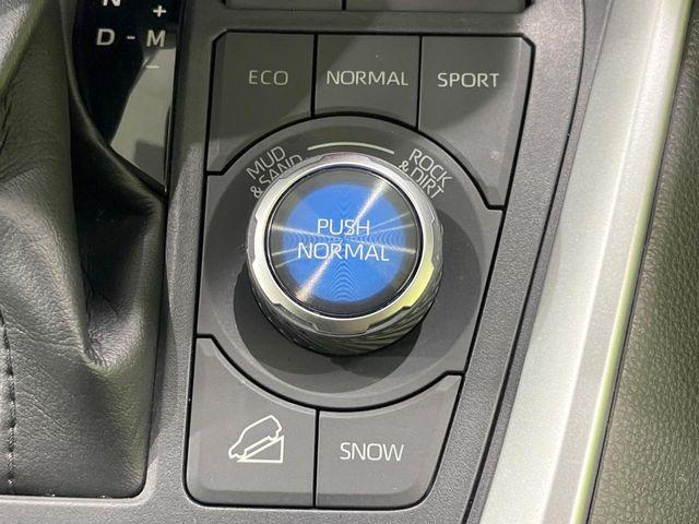 RAV4(新潟県長岡市)