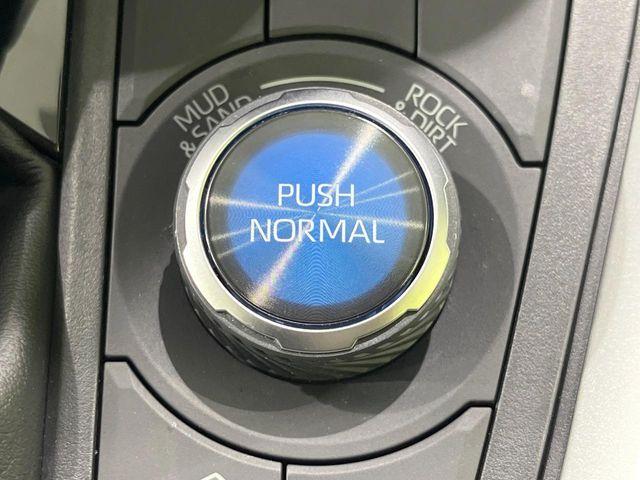 RAV4(新潟県長岡市)