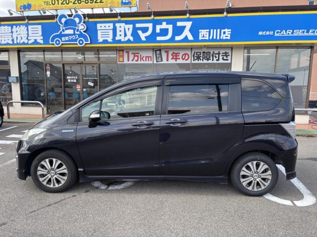 フリードハイブリッド(新潟県新潟市西蒲区)